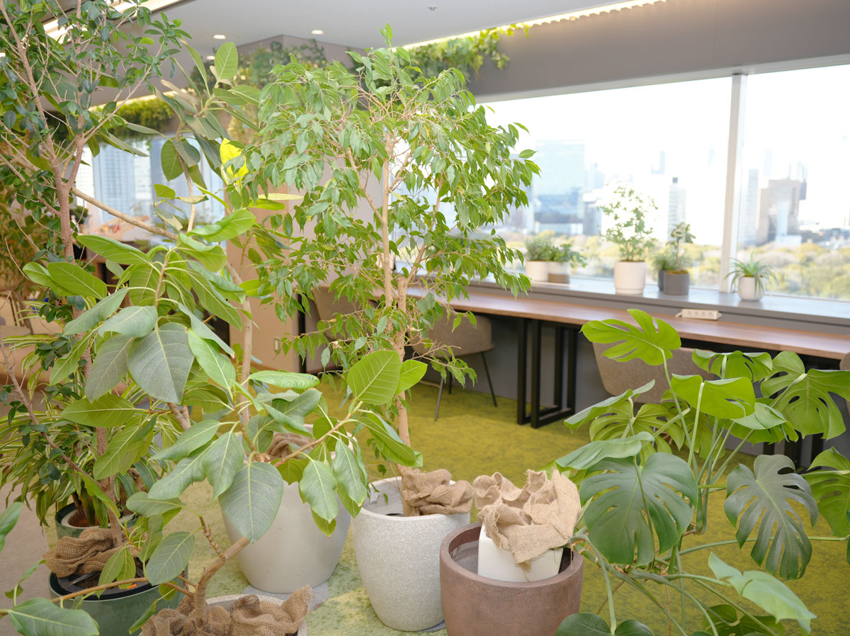 緑の多い(株)オーエフのオフィス