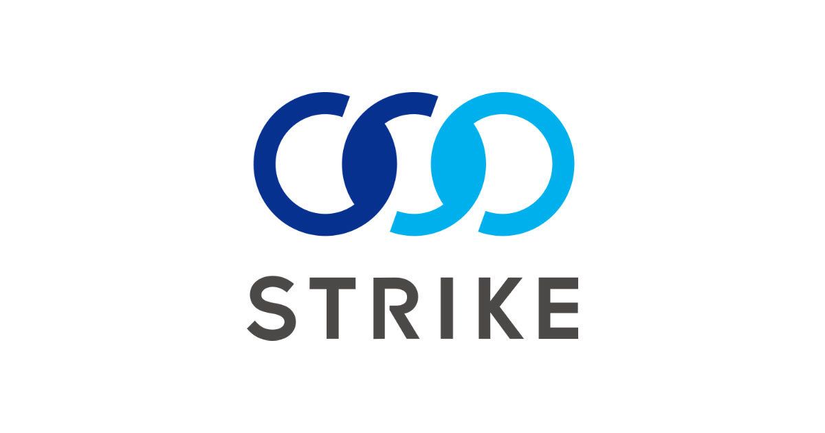 what does strike mean in stocks