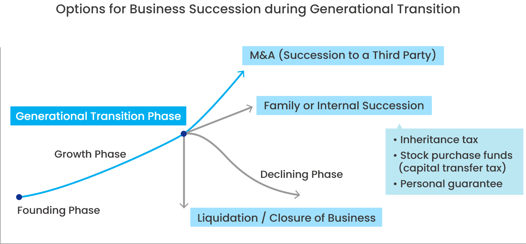 Options for Business Succession during Generational Transition