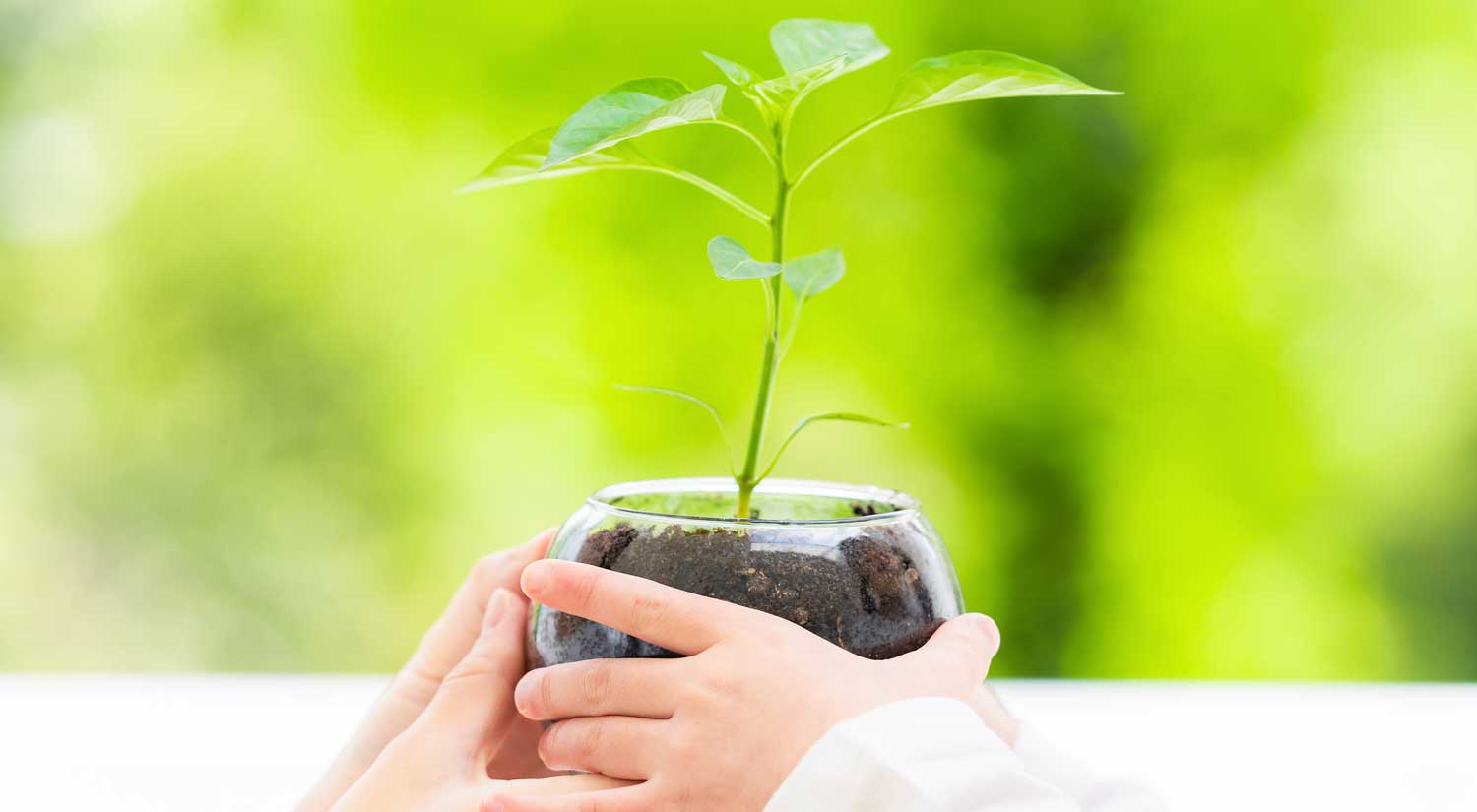 サステナビリティ