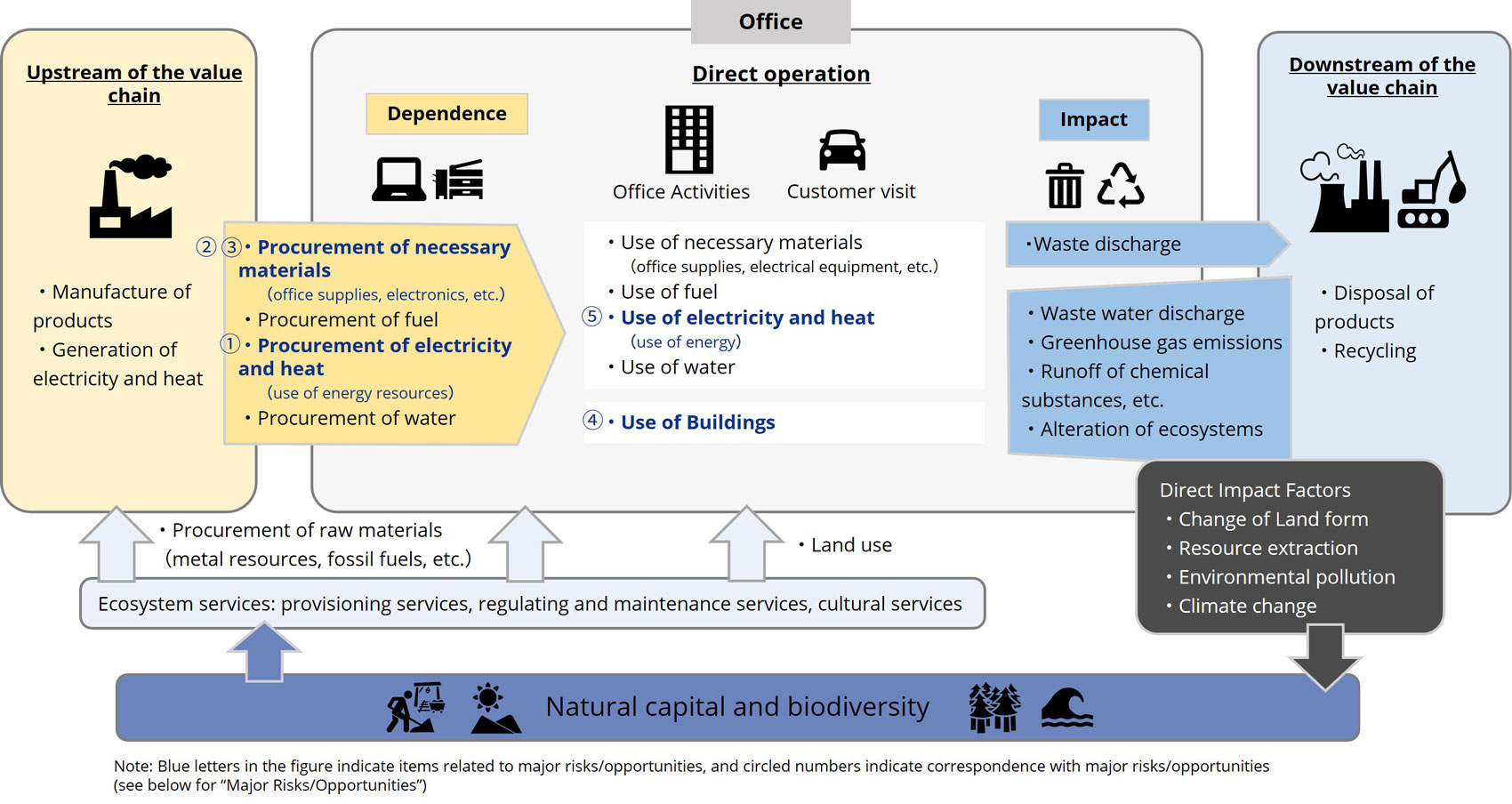 Overview of Dependence on and Impacts on Natural Capital and Biodiversity throughout the Value Chain